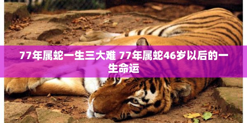 77年属蛇一生三大难 77年属蛇46岁以后的一生命运