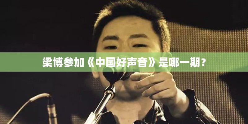 梁博参加《中国好声音》是哪一期？