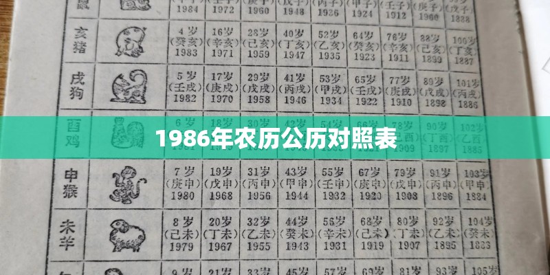 广元发生的命案26号案件
