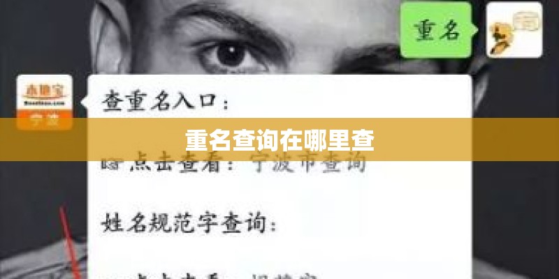 重名查询在哪里查