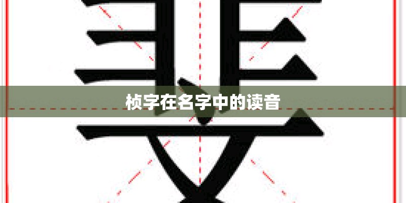 广元发生的命案26号案件