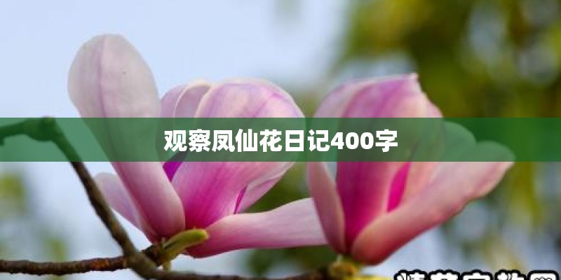 达涅利的达涅利 中国公司