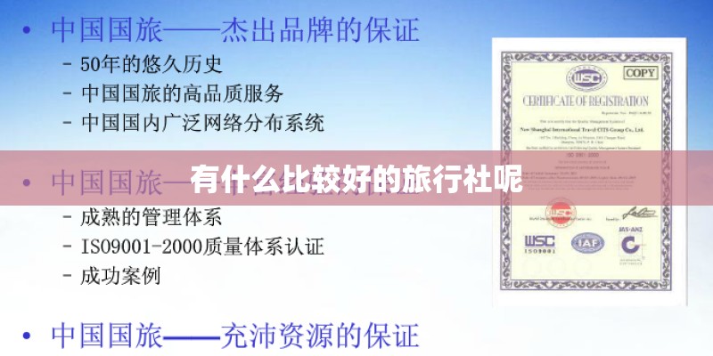 有什么比较好的旅行社呢