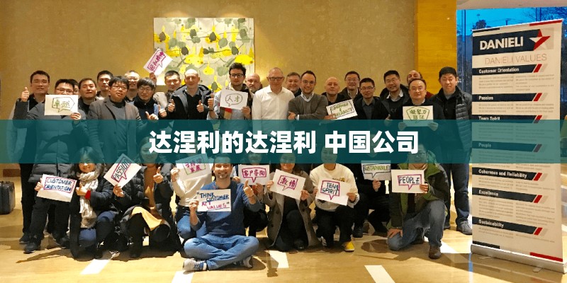 达涅利的达涅利 中国公司 达涅利的达涅利 中国公司