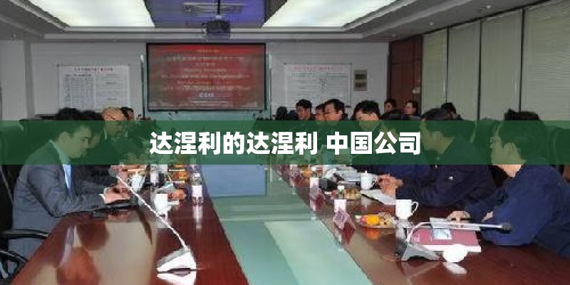 达涅利的达涅利 中国公司 达涅利的达涅利 中国公司