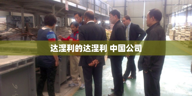 达涅利的达涅利 中国公司 达涅利的达涅利 中国公司