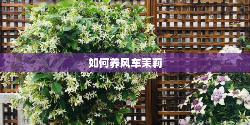 读者文摘好句好段
