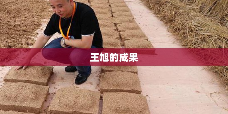 王旭的成果 王旭的成果