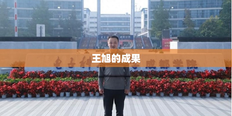 王旭的成果 王旭的成果