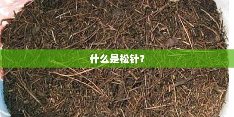 舞动青春