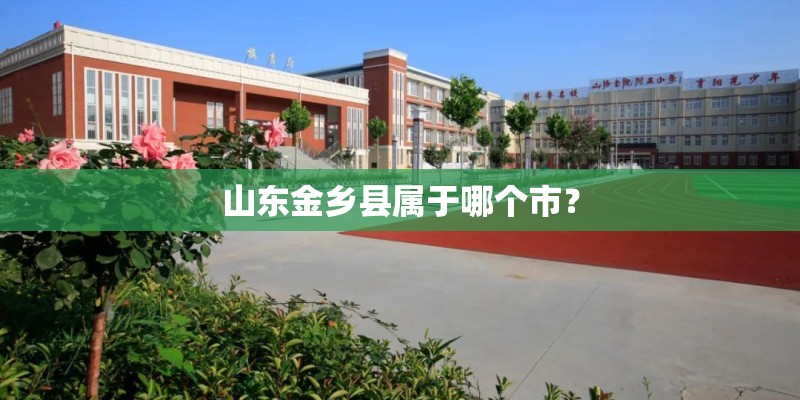 山东金乡县属于哪个市？
