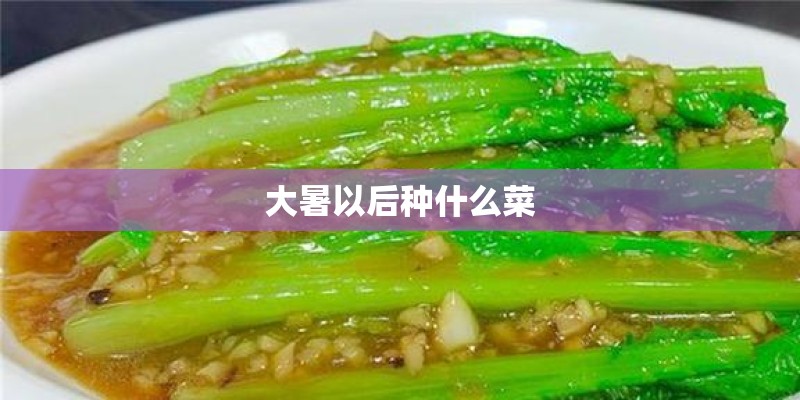 什么是松针？