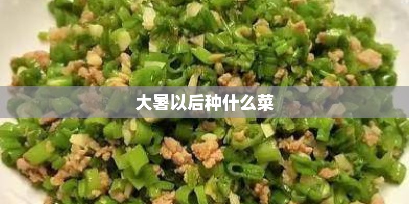 大暑以后种什么菜