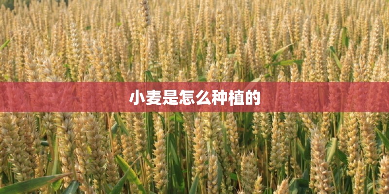 驻马店办理居住证明需要哪些证件
