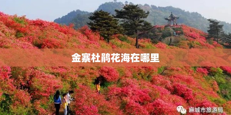 宝马x6车照片红色