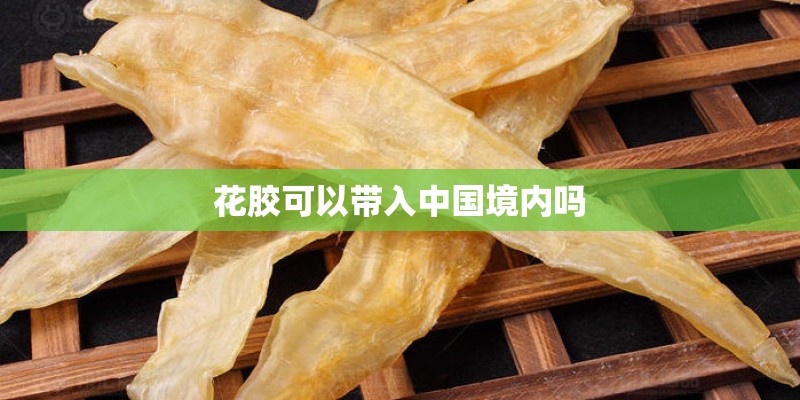 花胶可以带入中国境内吗