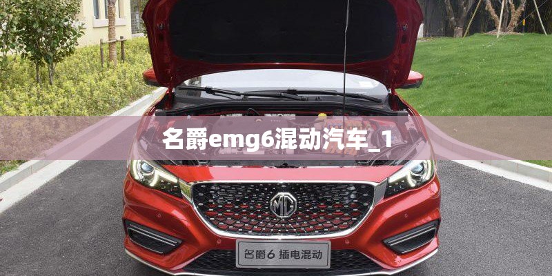 金寨杜鹃花海在哪里