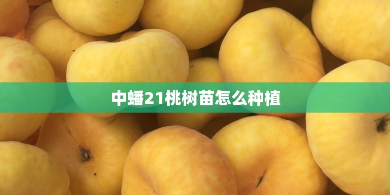 16年艾力绅二手车多少钱