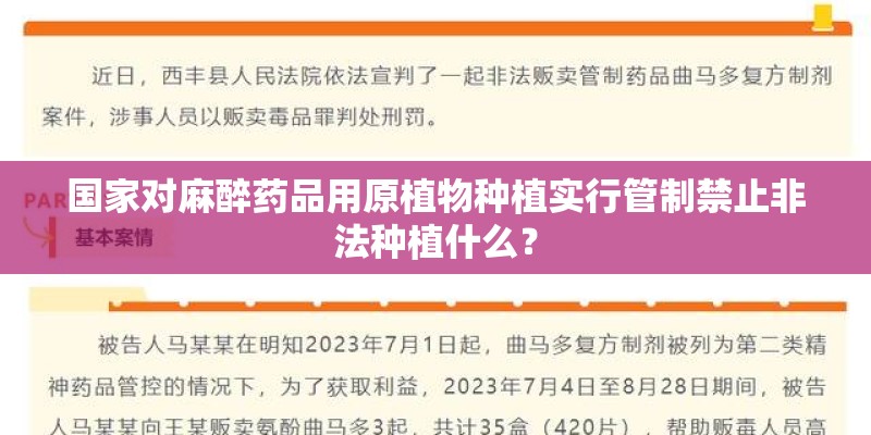 国家对麻醉药品用原植物种植实行管制禁止非法种植什么？