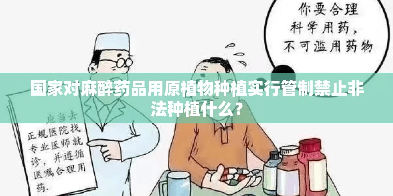 国家对麻醉药品用原植物种植实行管制禁止非法种植什么？