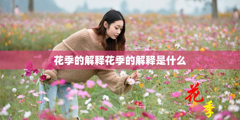 花季的解释花季的解释是什么