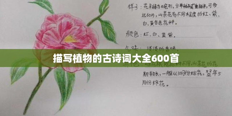 描写植物的古诗词大全600首