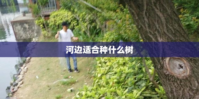 美国国会大厦的建筑结构