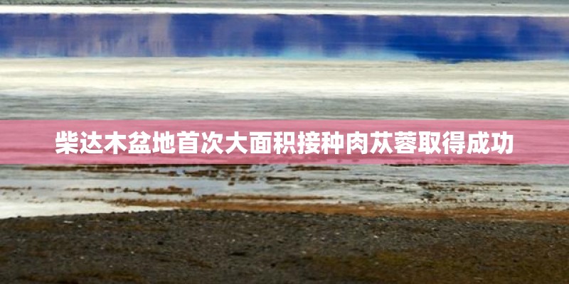 这是一种什么花？