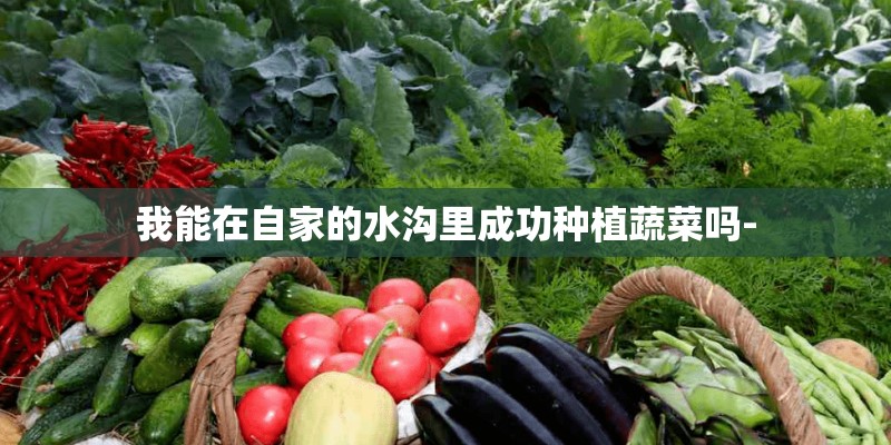艾瑞泽m7排量有多大_1