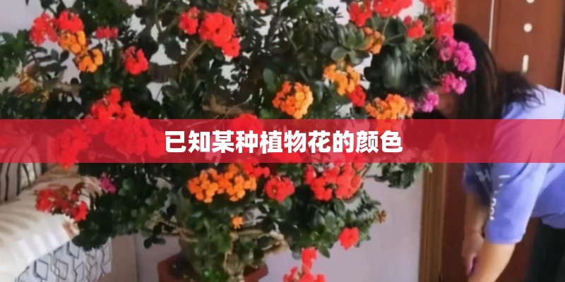 《大西北诗刊》第四期目录