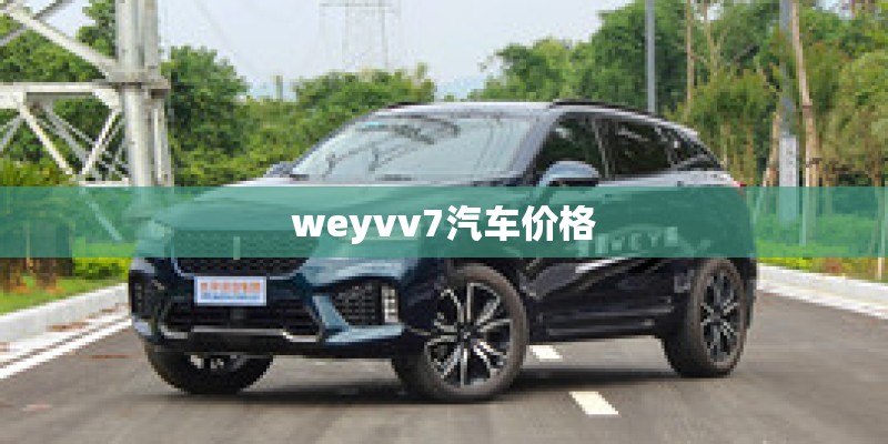 weyvv7汽车价格