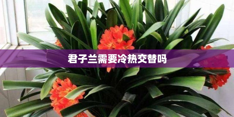 weyvv7汽车价格