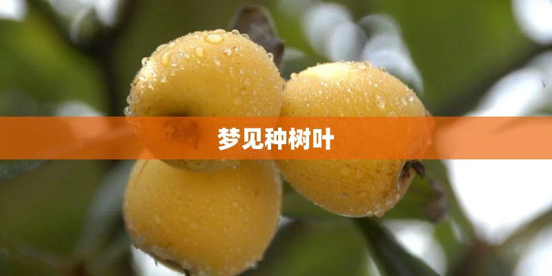 上海杨浦区二手房
