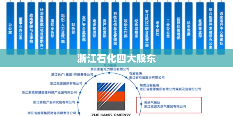 浙江石化四大股东